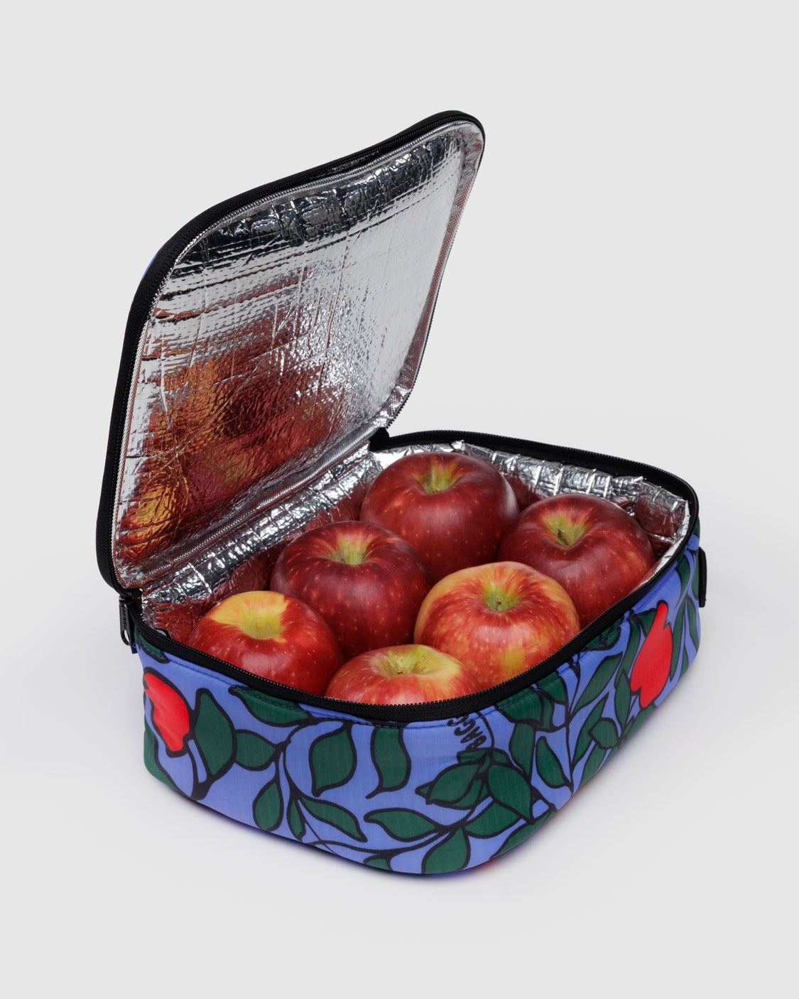 Lunch Box - Apple Tree - Daily Zip Storage